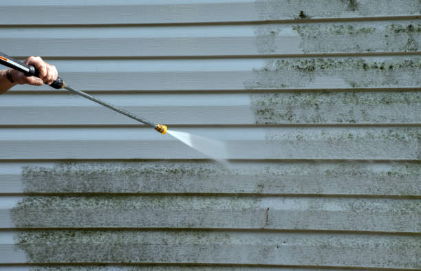 Best Fence Cleaning  in Alb, IA